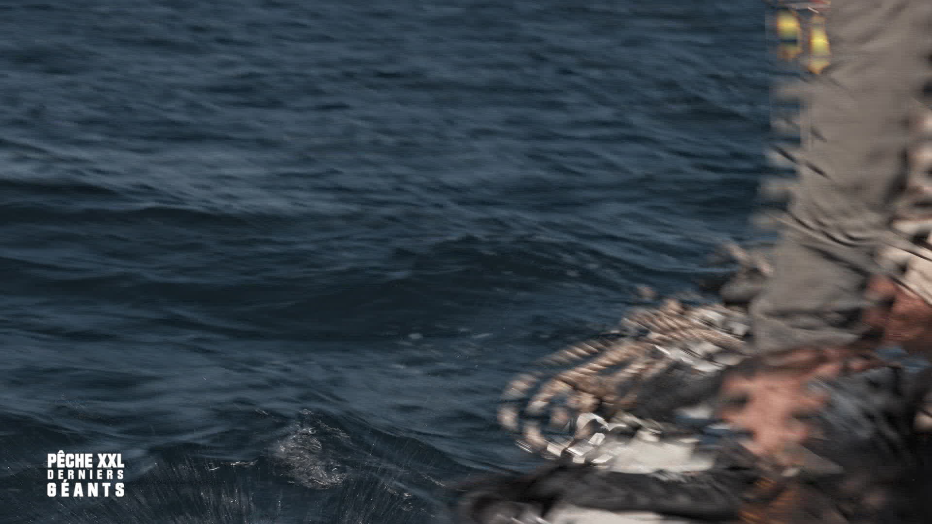 P�che xxl : derniers g�ants du 06 F�vrier