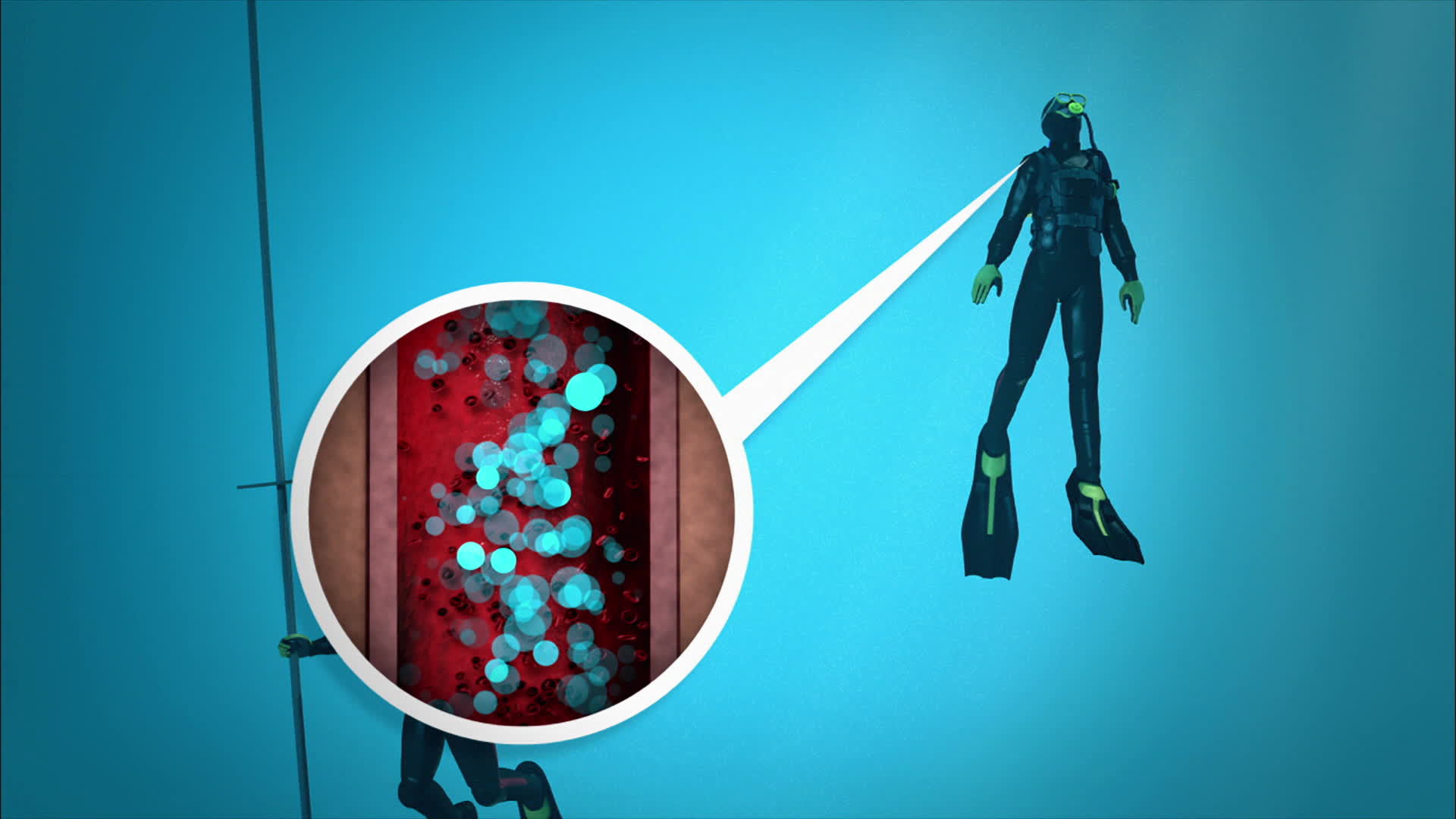 Le mystère d'oak island : la course au trésor Le mystère d'oak island : la course au trésor