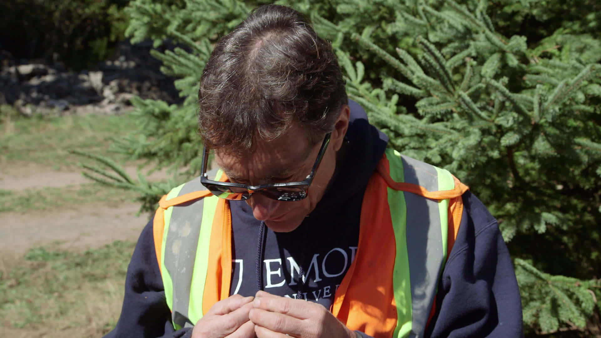 Le myst�re d'oak island : la course au tr�sor du 31 D�cembre