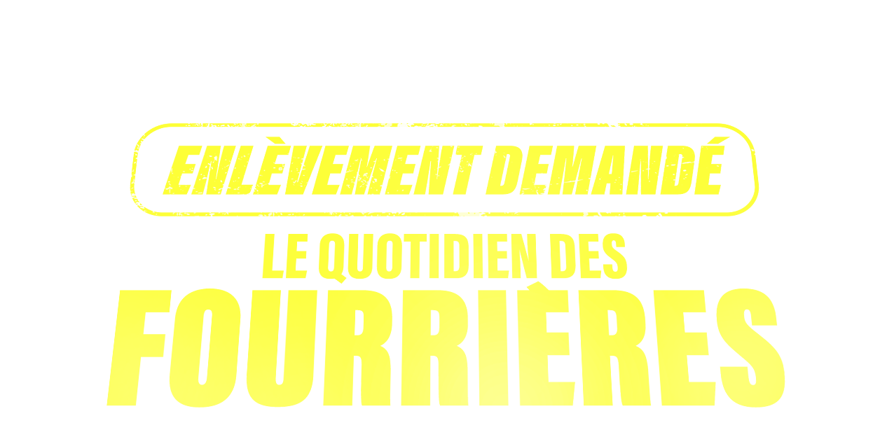 Revoir Enlèvement demandé : le quotidien des fourrières du 15 Avril