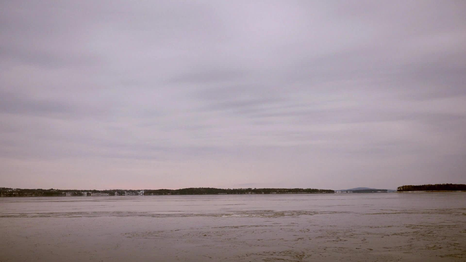 Le myst�re d'oak island : la course au tr�sor