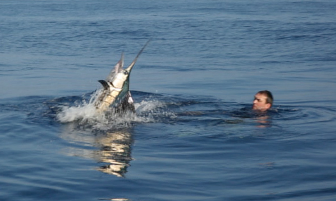 Pêche xxl du 30 Janvier Pêche xxl du 30 Janvier