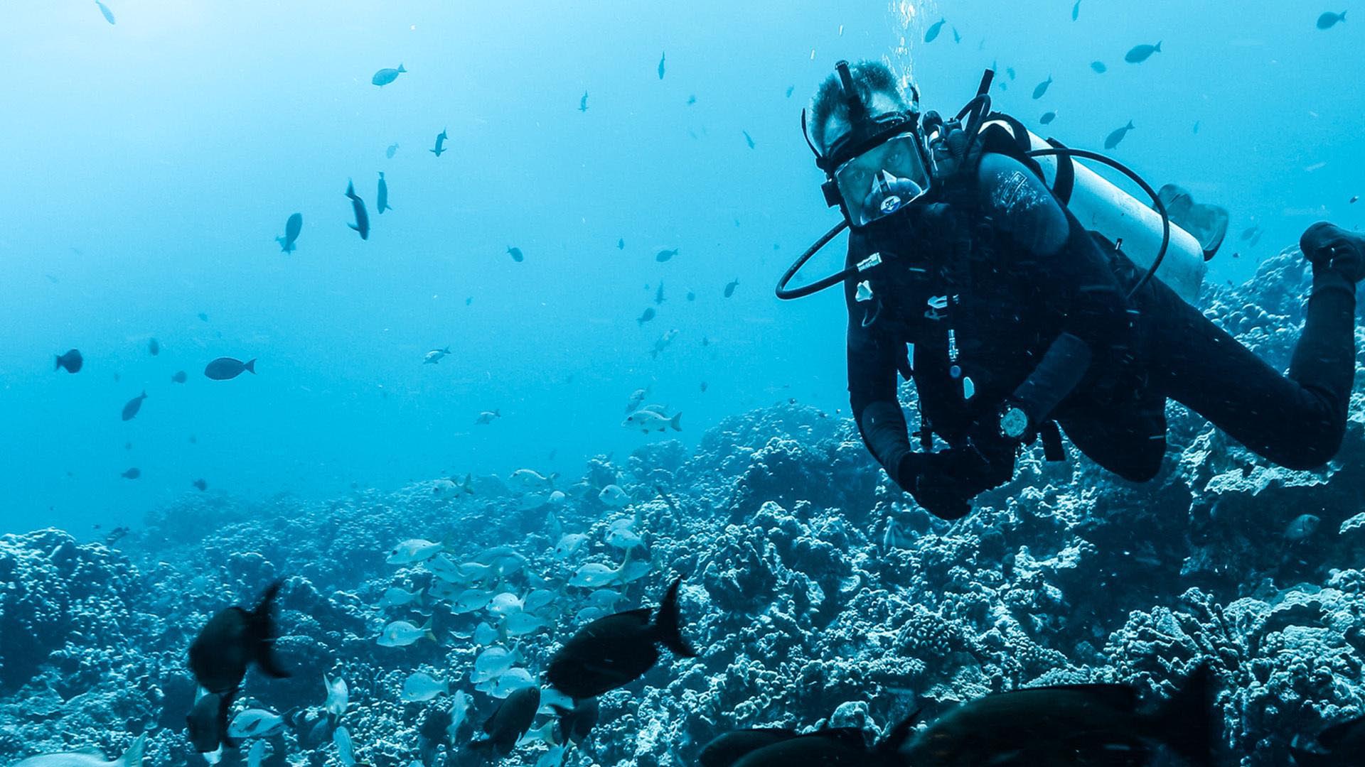 Pêche xxl du 30 Janvier Pêche xxl du 30 Janvier