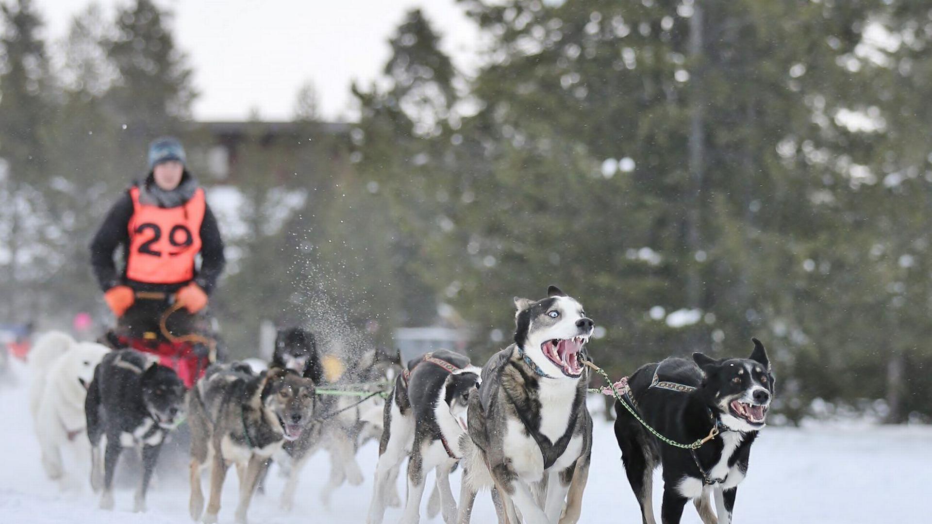 Seuls face au montana du 15 F�vrier