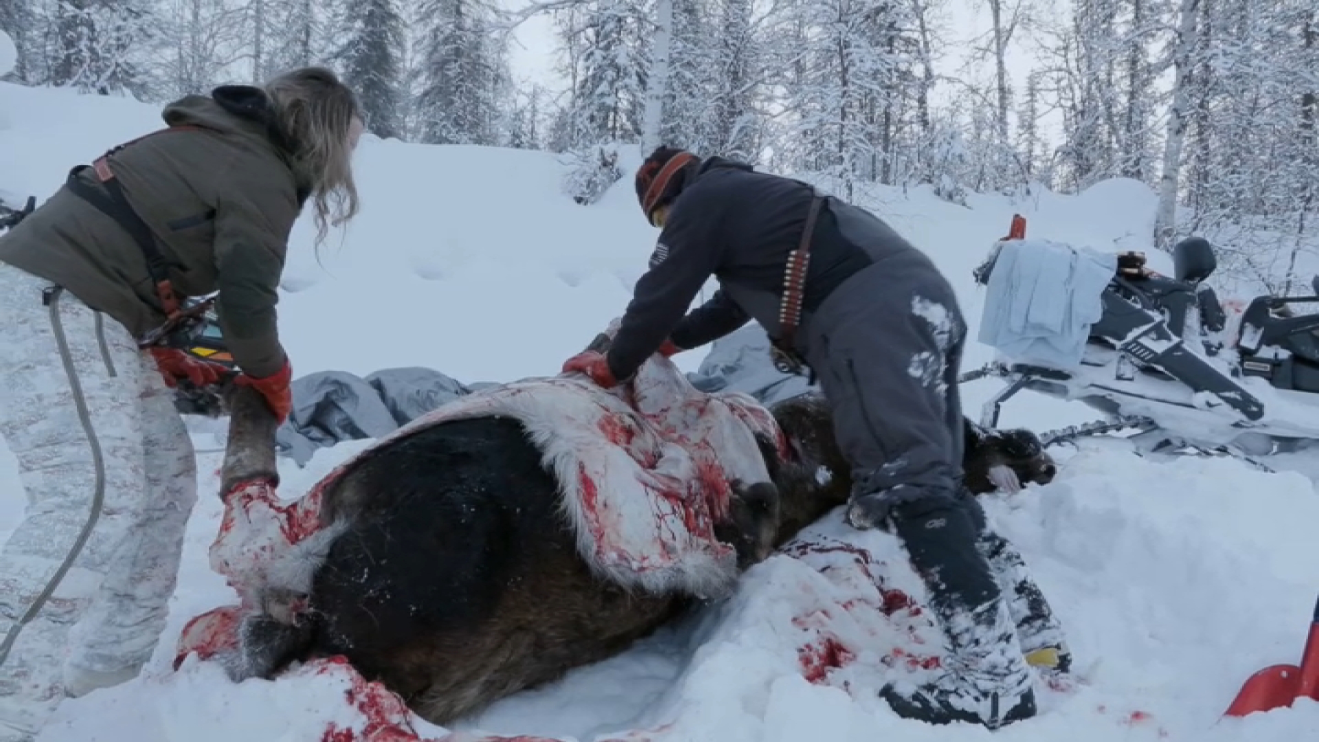 Replay Seuls face à l'alaska