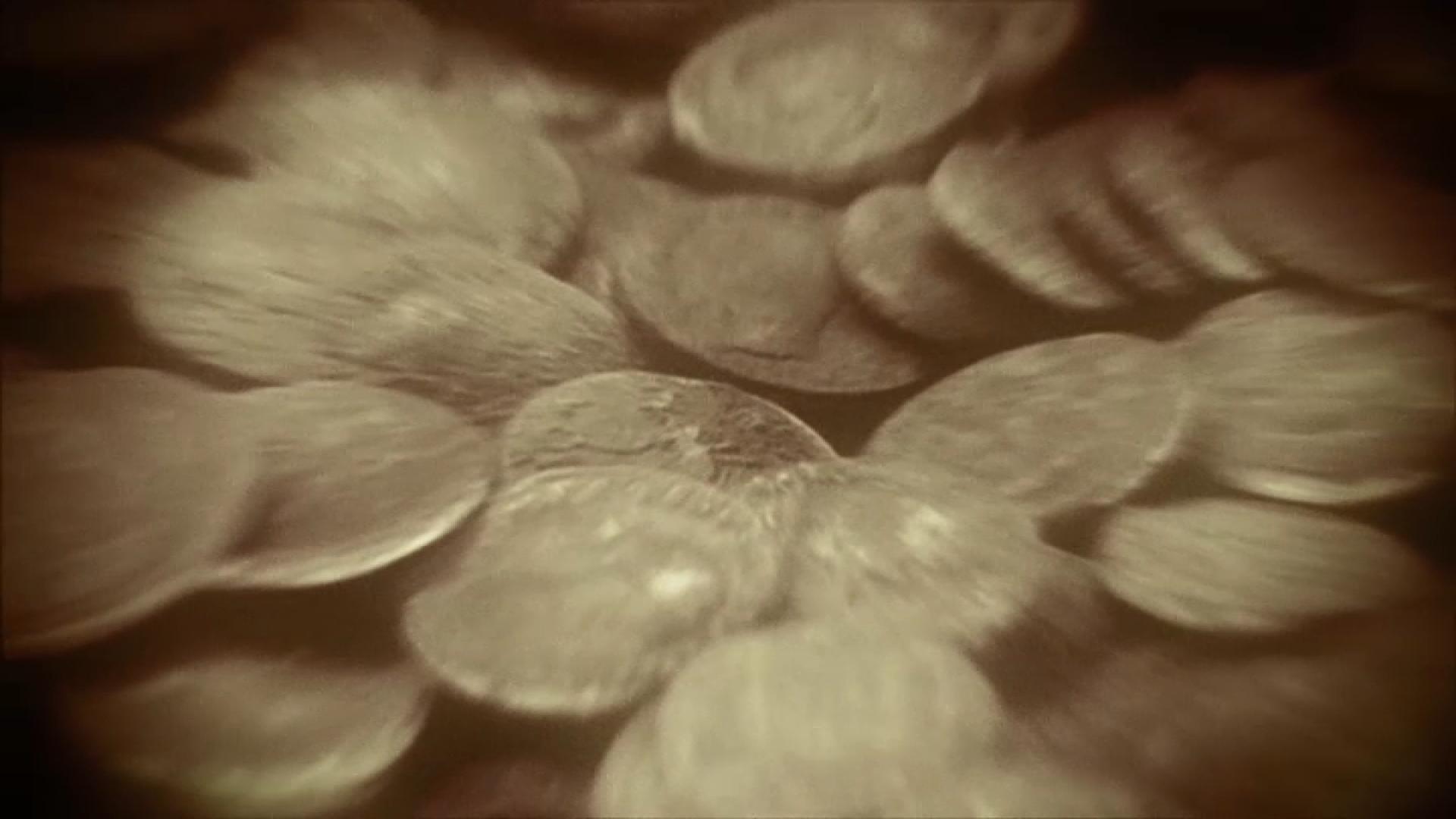 Le mystère d'oak island : la course au trésor Le mystère d'oak island : la course au trésor