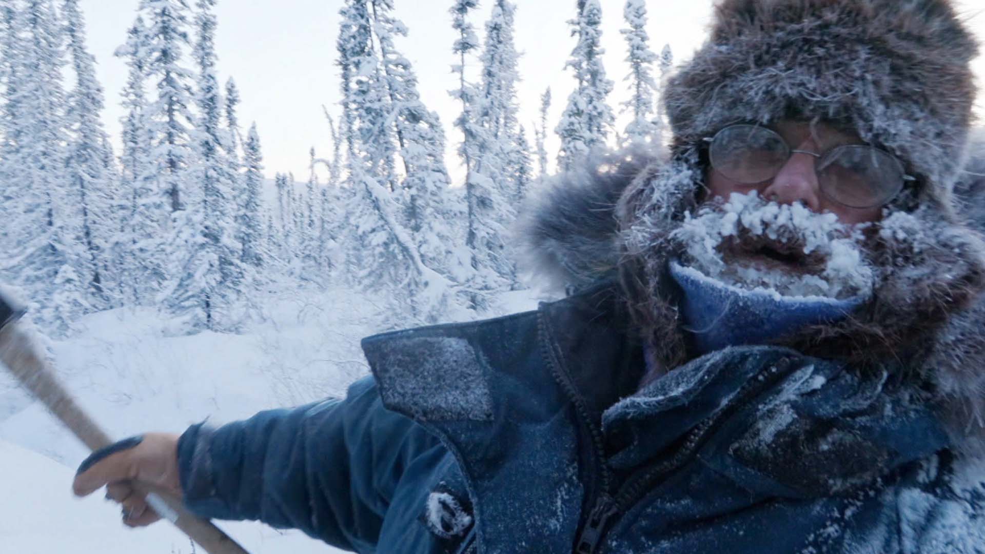 Seuls face � l'alaska