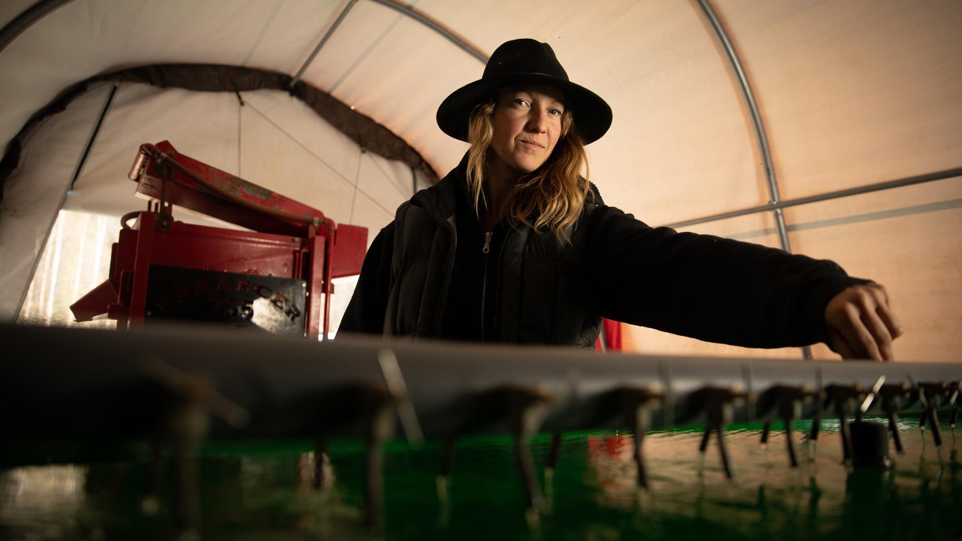 Alaska, la ru�e vers l'or