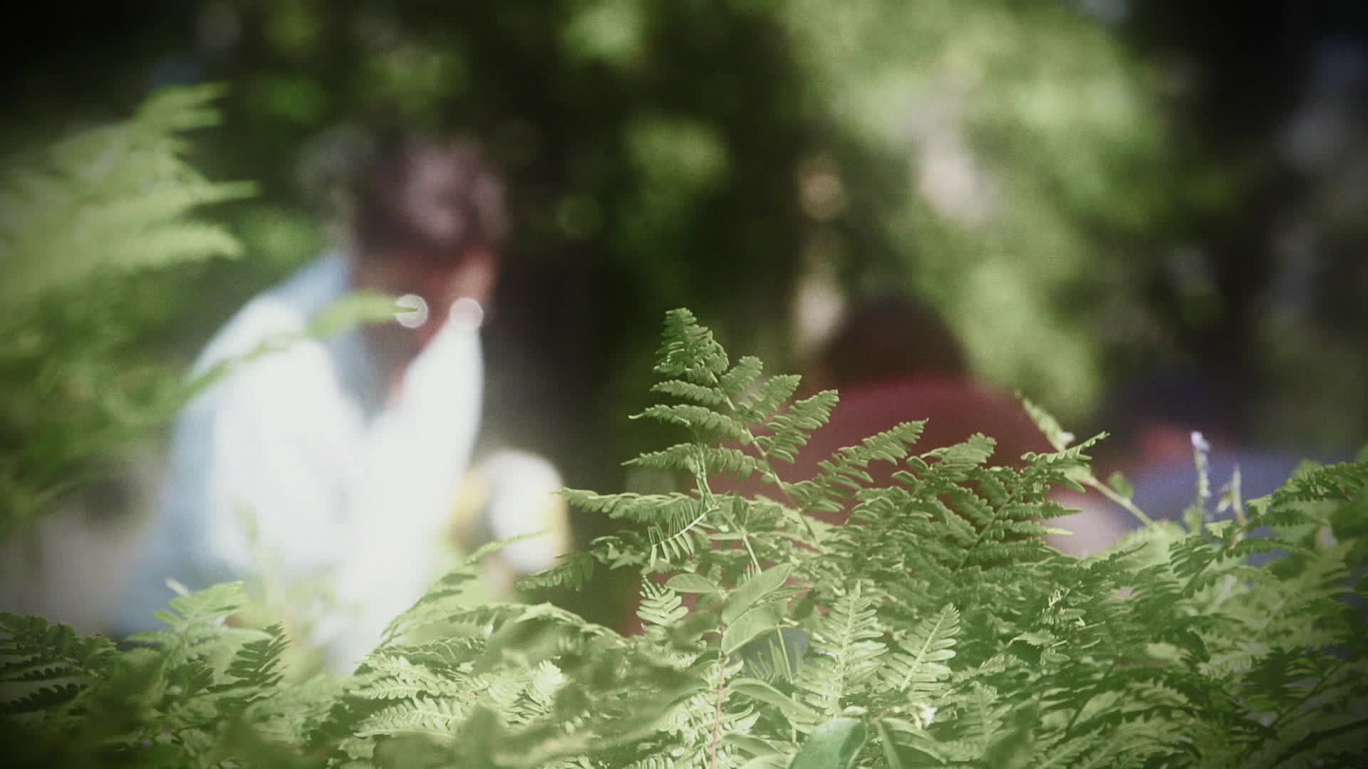 Le myst�re d'oak island : la course au tr�sor