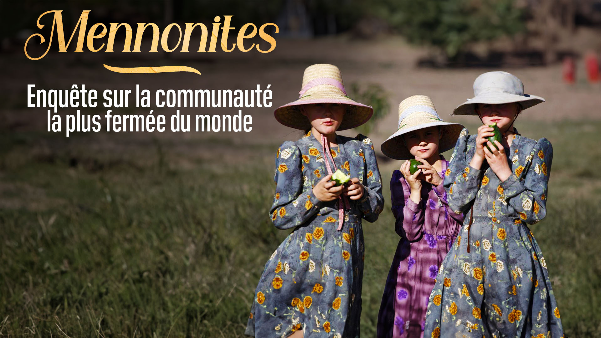 Replay Mennonites enquête sur la communauté la plus fermée du monde