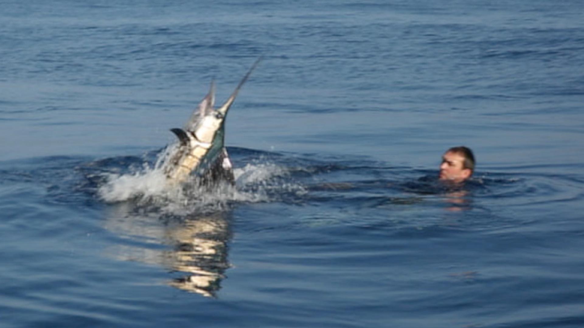 Revoir Peche xxl du 24 Aout