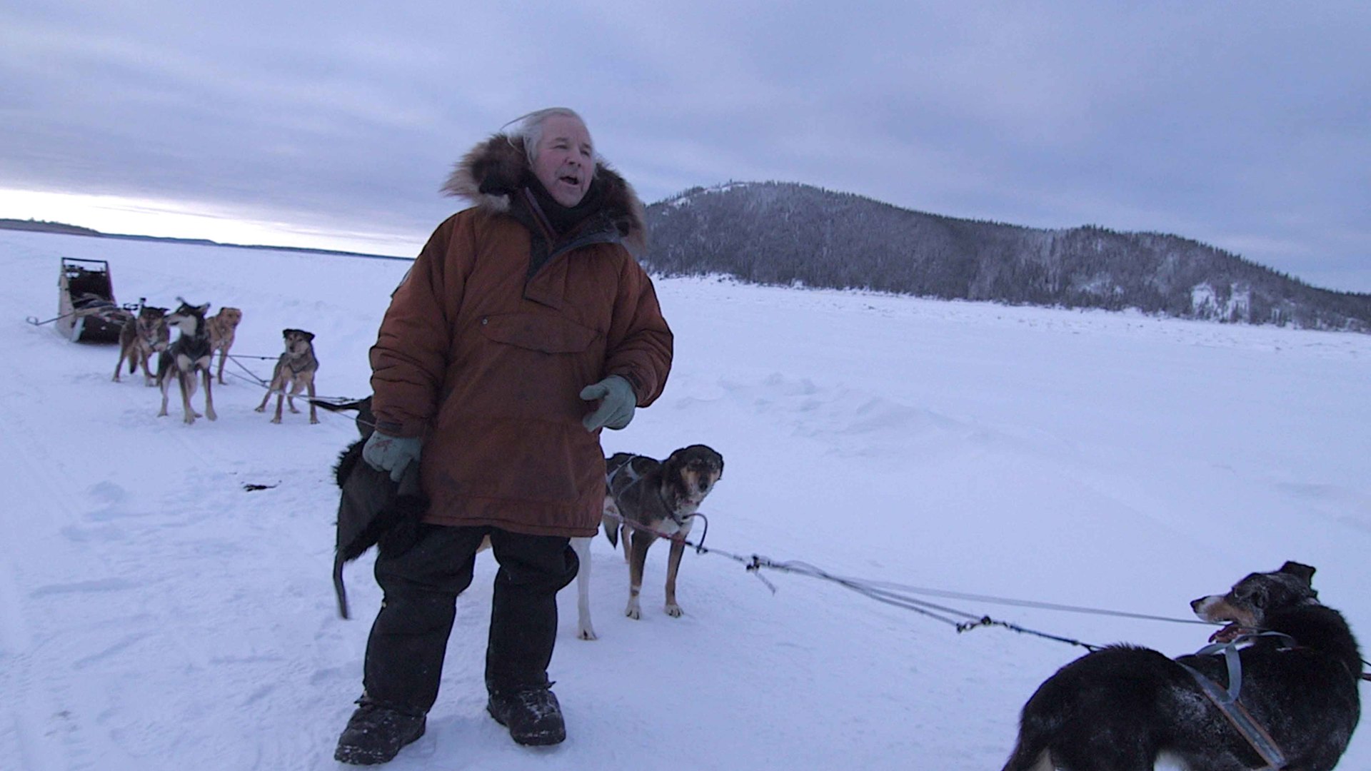 Revoir Into the wild : alaska du 13 Décembre