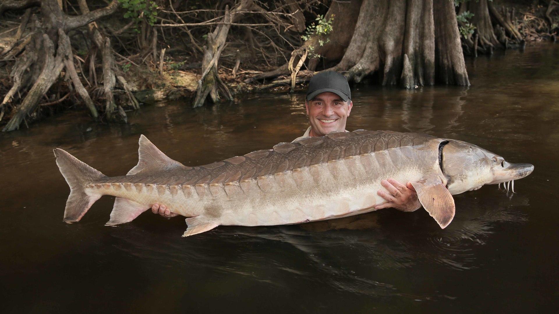 Revoir Peche xxl du 06 Aout