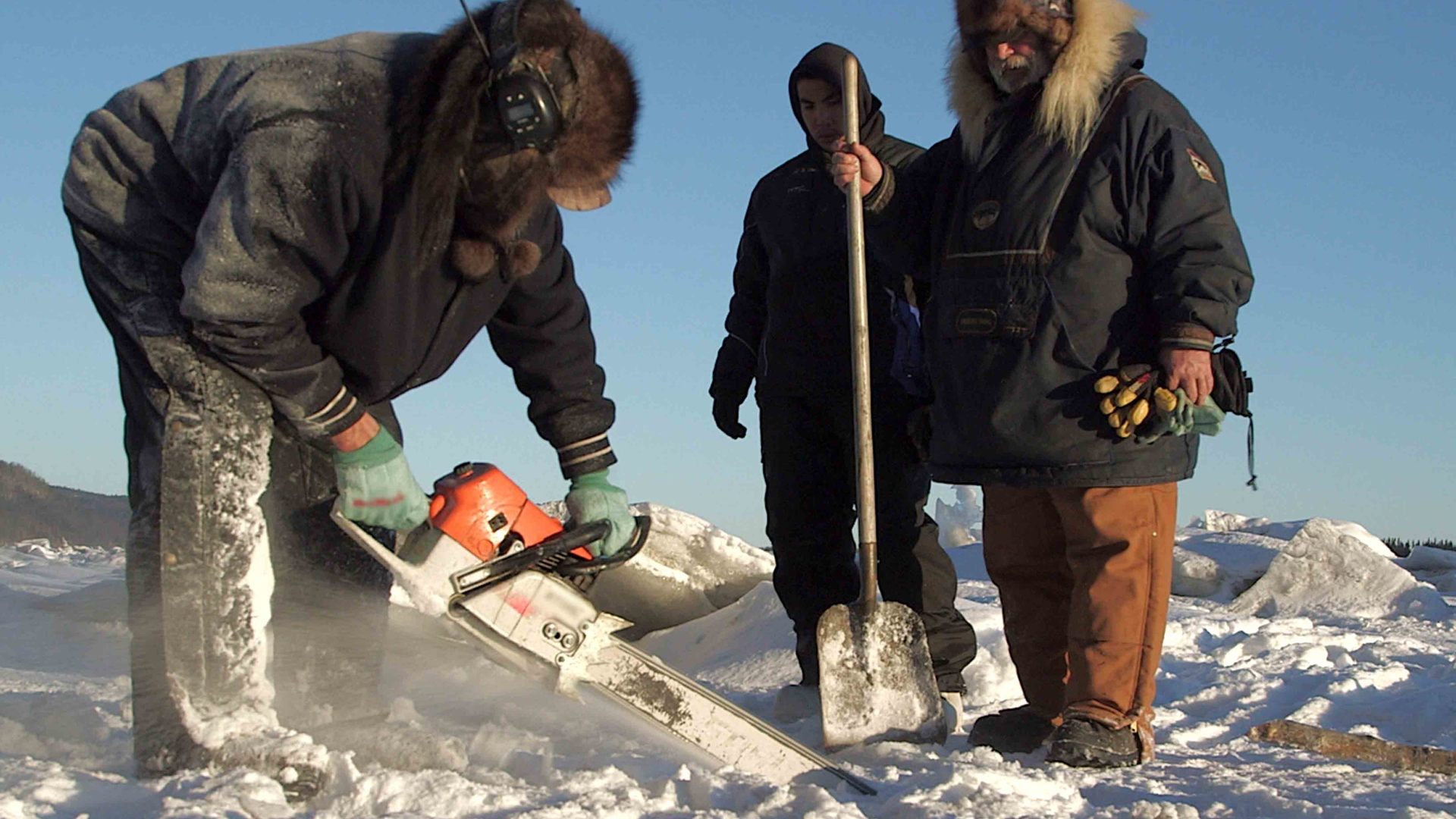 Revoir Into the wild : alaska du 29 Novembre