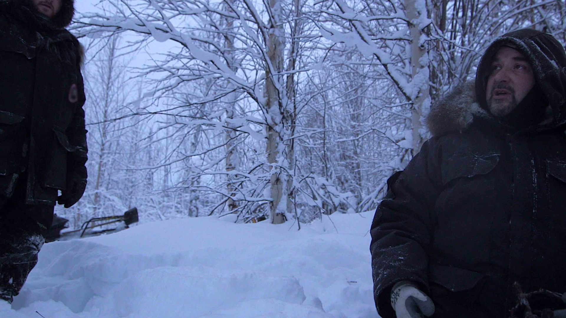 Revoir Into the wild : alaska du 13 Décembre