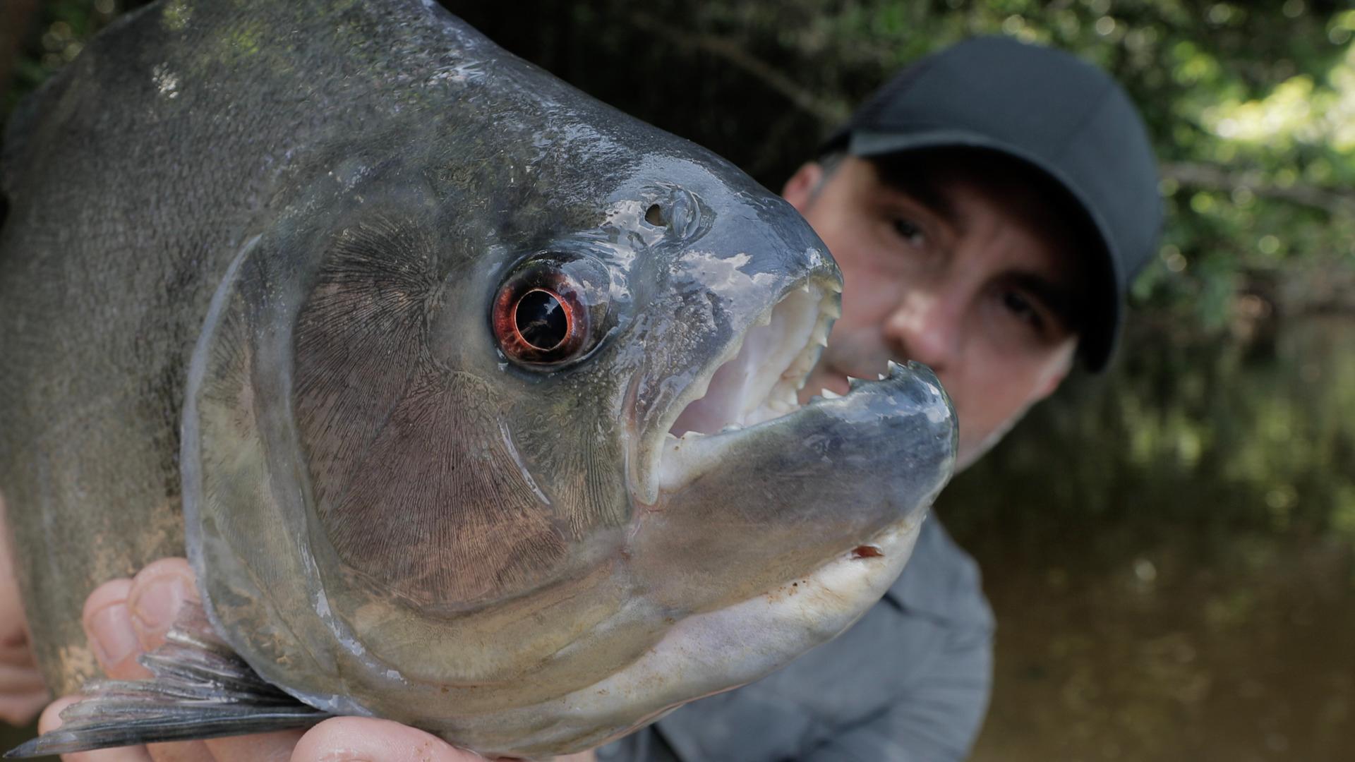 Revoir Pêche xxl s3 du 06 Aout