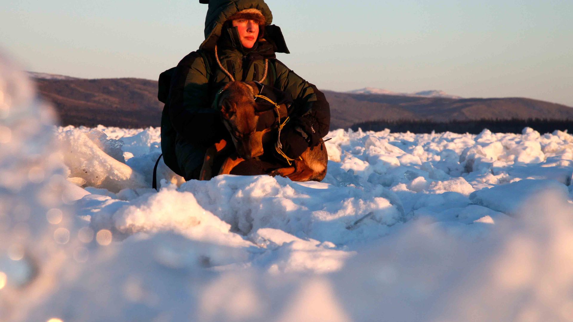 Revoir Into the wild : alaska du 13 Décembre