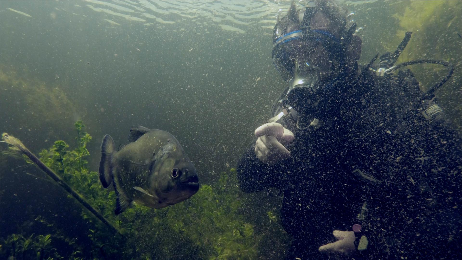 Revoir Pêche xxl s3 du 06 Aout
