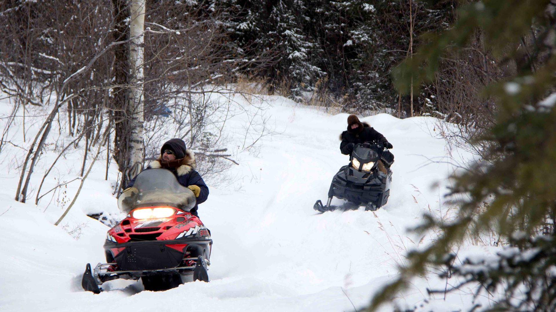 Revoir Into the wild : alaska du 20 Décembre