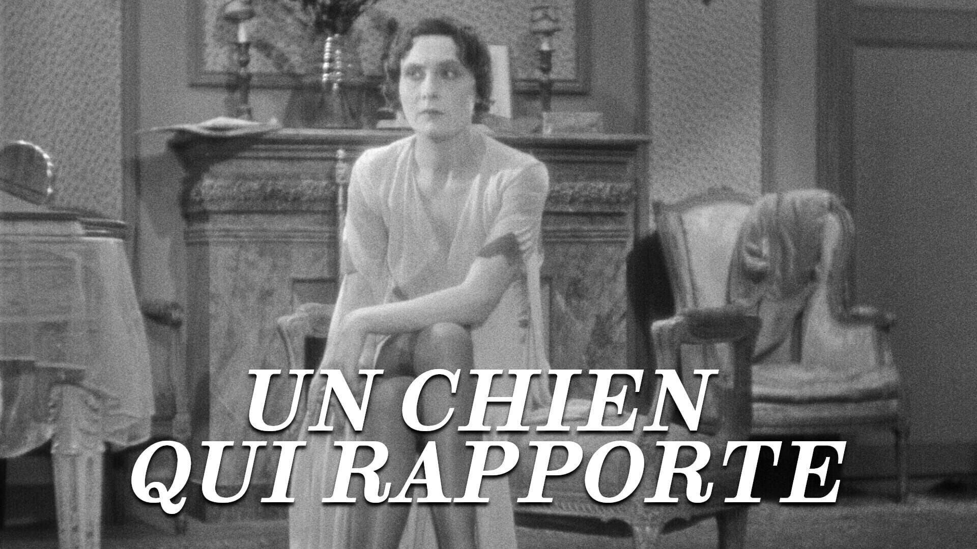 Un chien qui rapporte