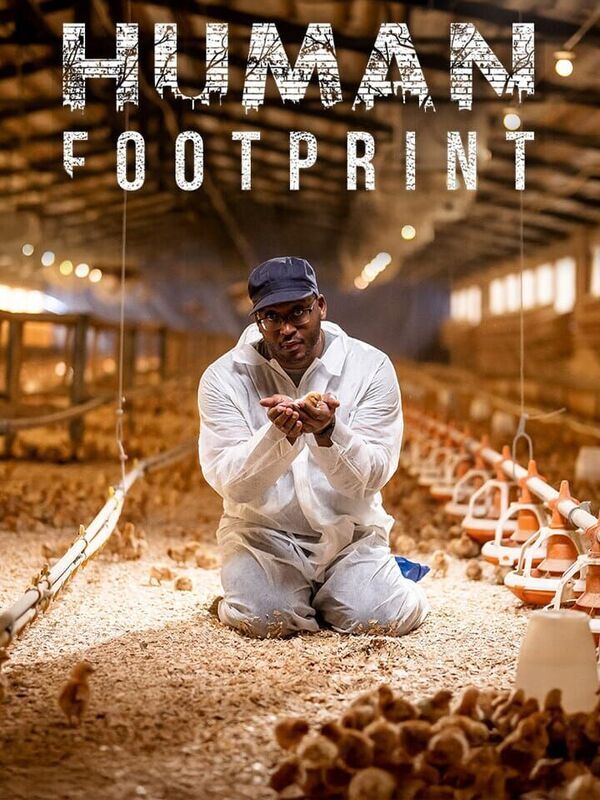 Human footprint
