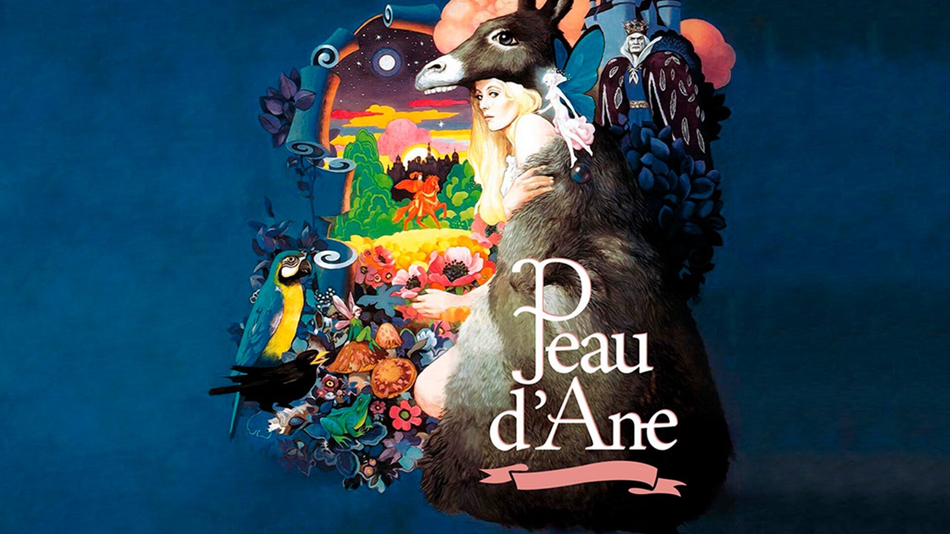 Peau d'âne