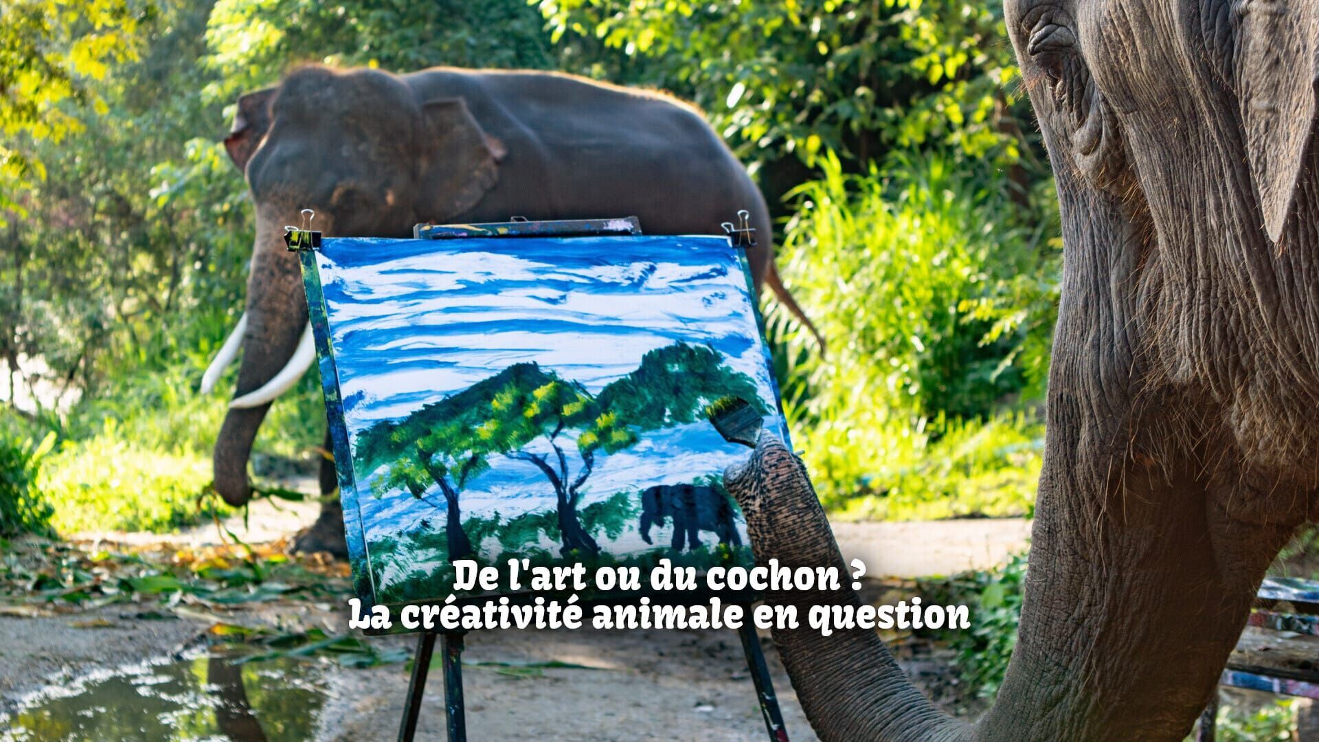 De l'art ou du cochon ? La créativité animale en question