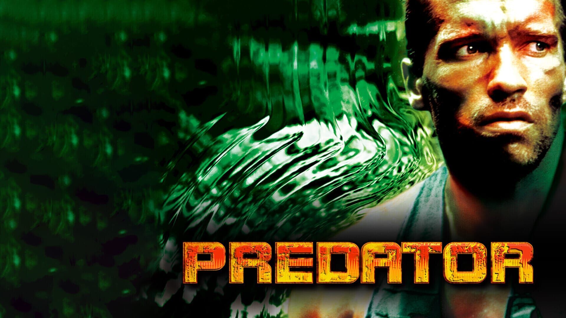 Predator