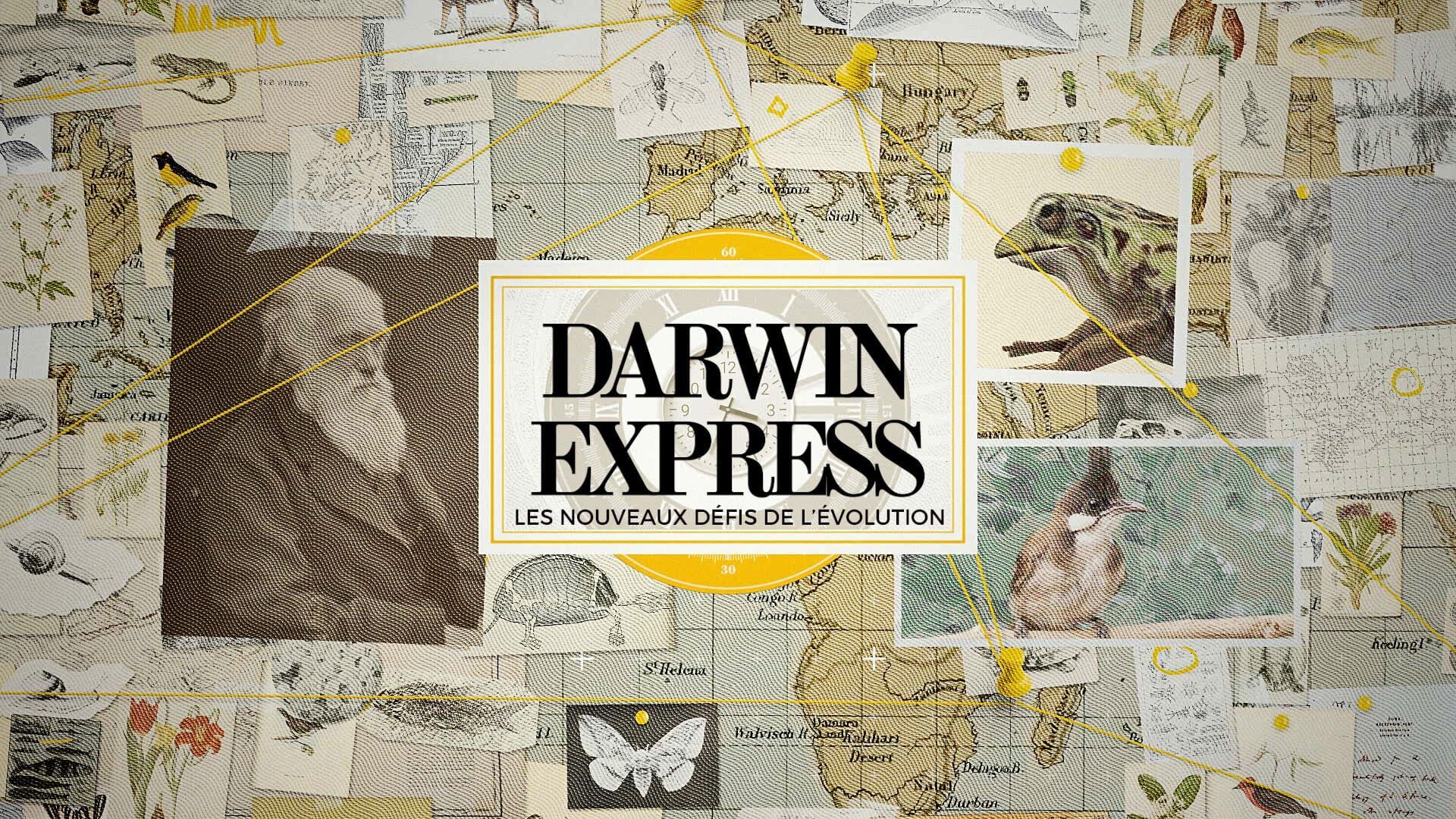 Darwin express - Les nouveaux défis de l'évolution