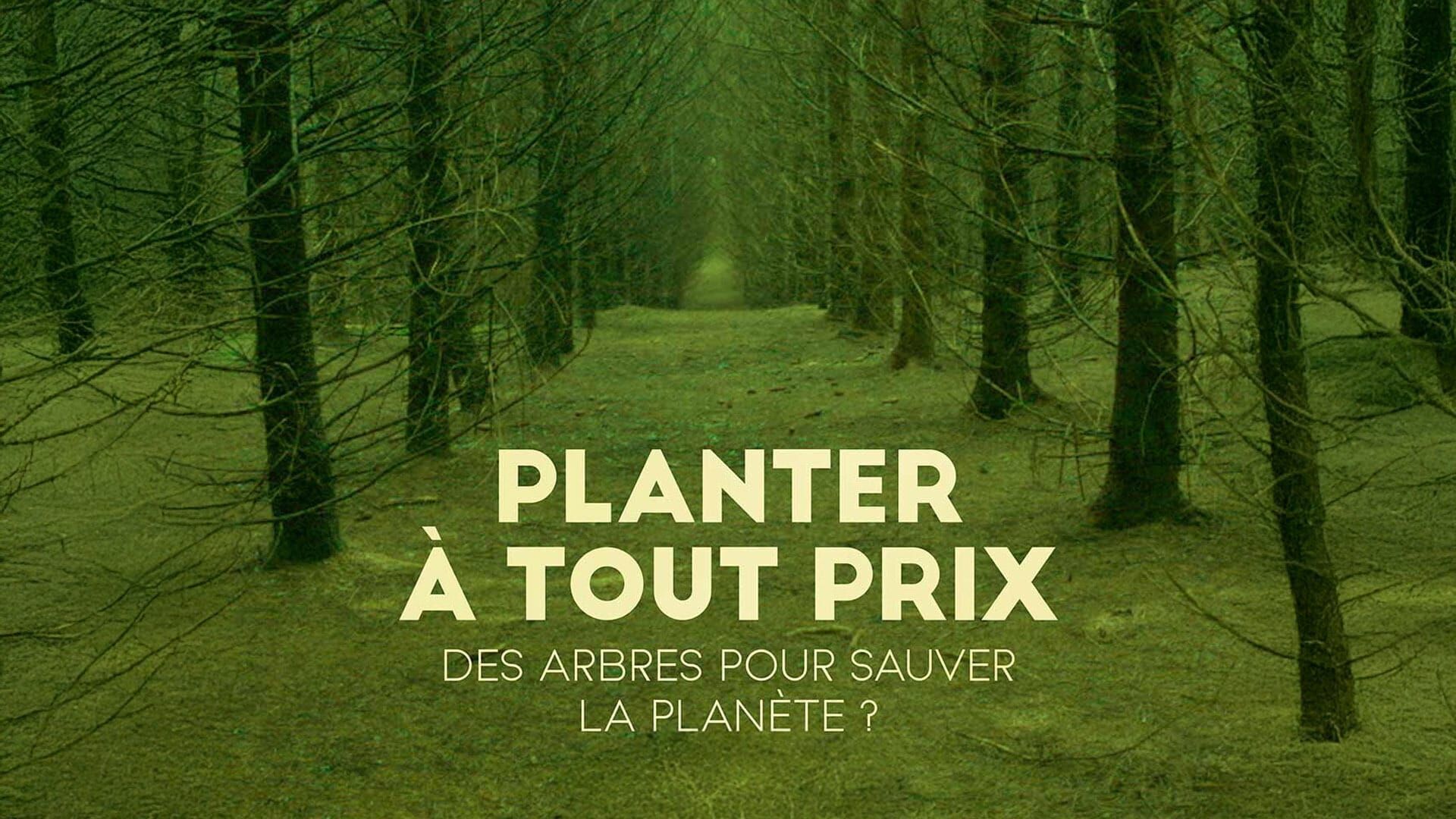 Planter à tout prix : Des arbres pour sauver la planète ?