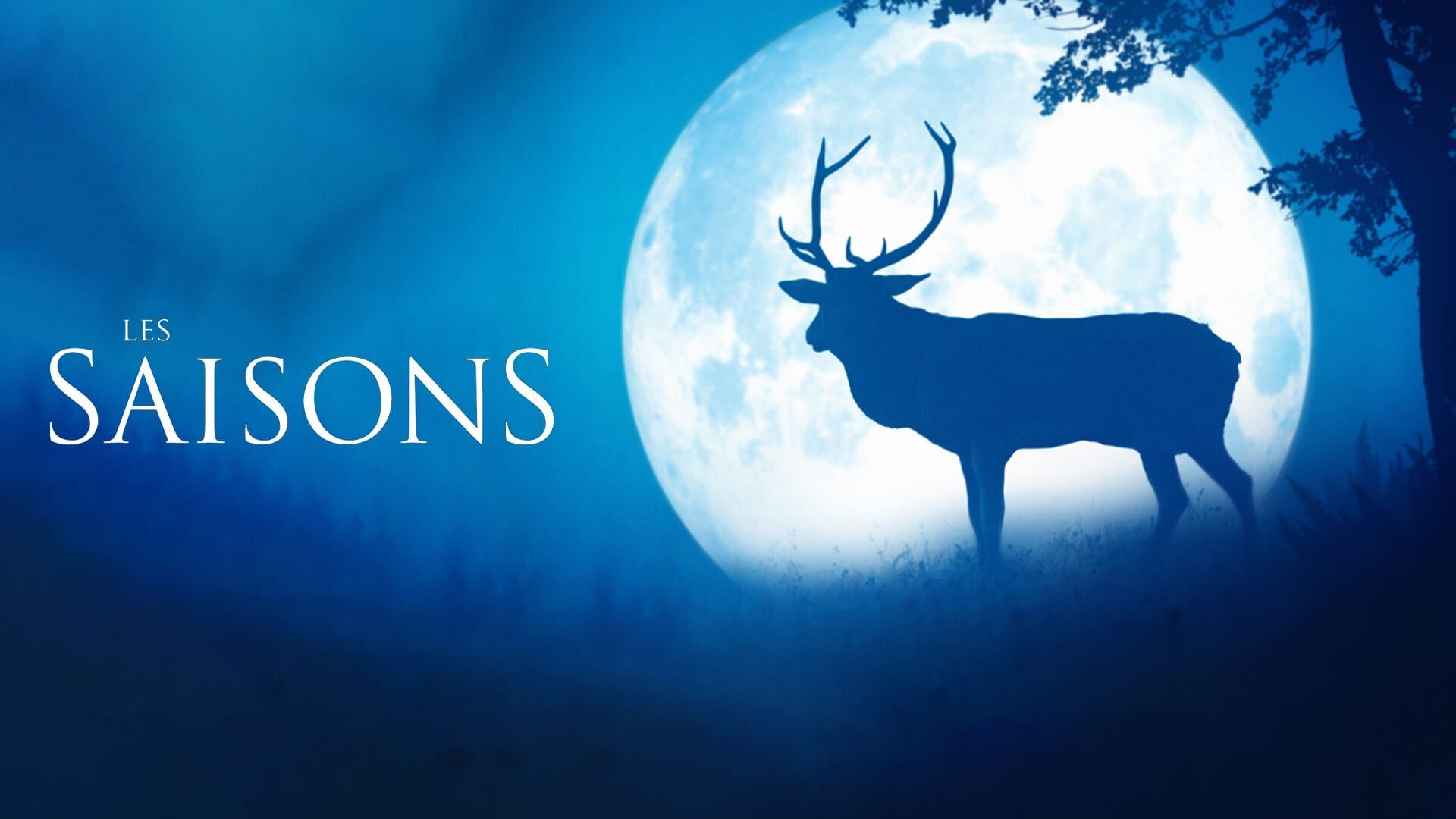 Les saisons