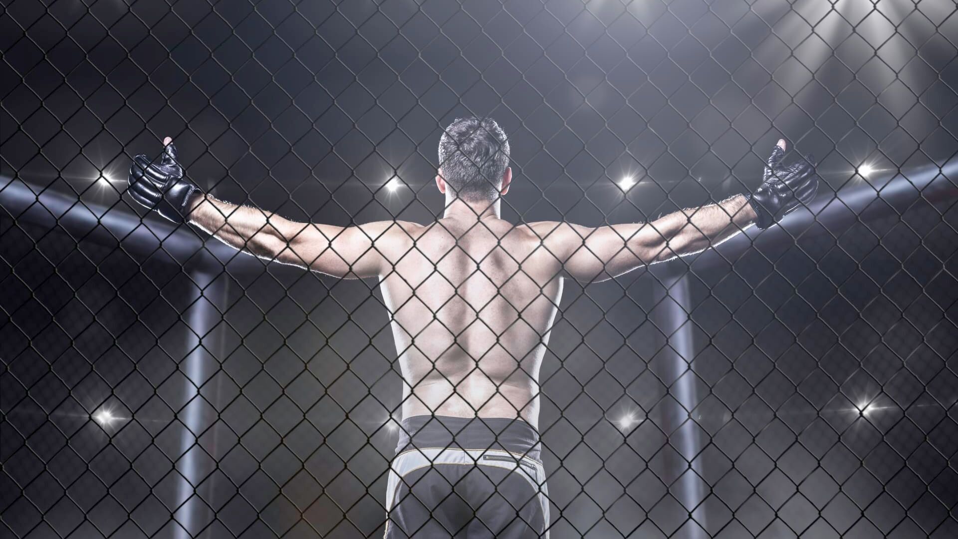 MMA : Dana White's Contender Series