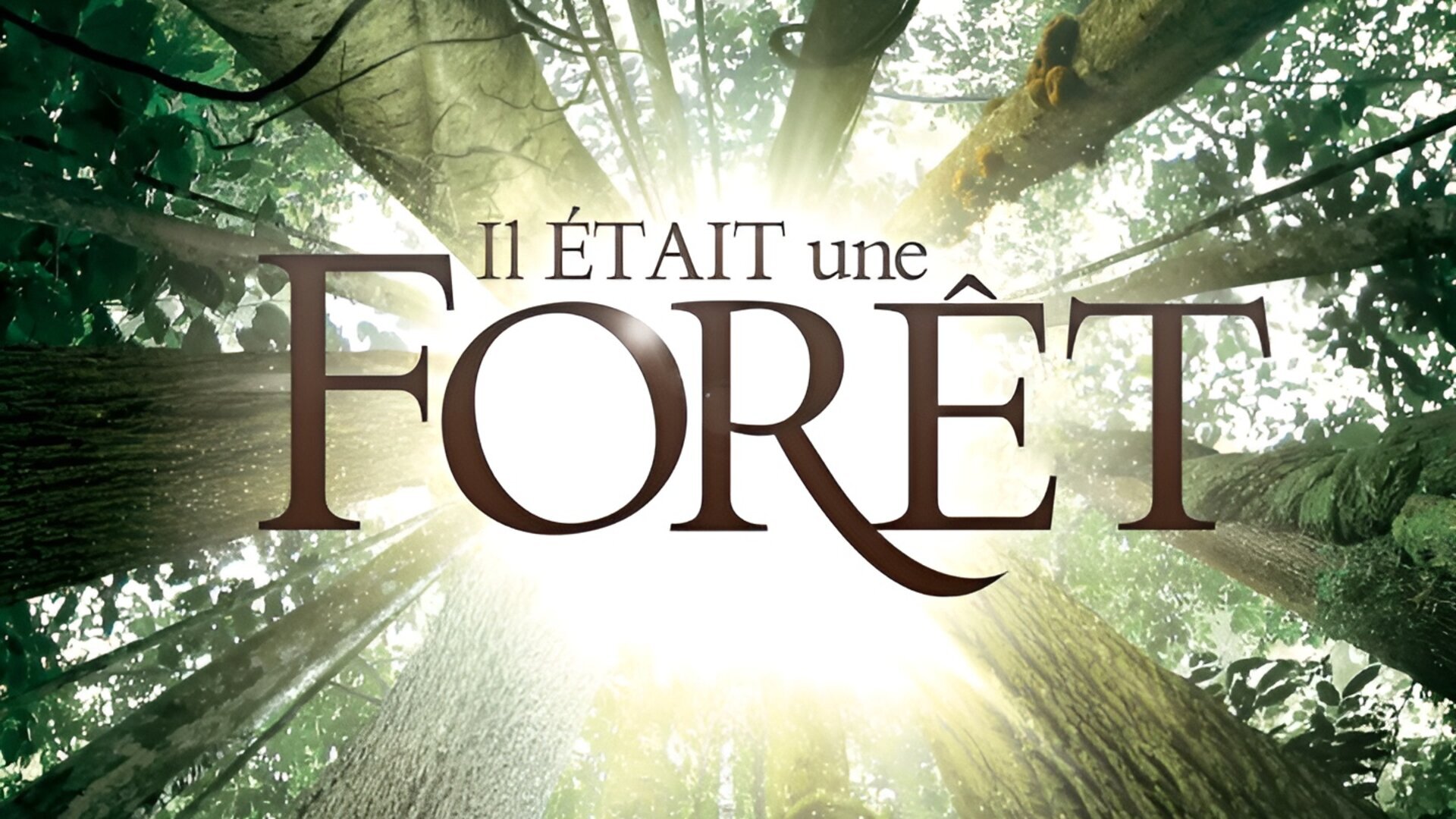 Il était une forêt