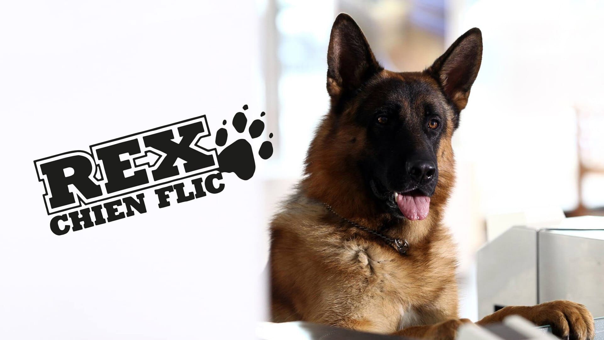 Rex