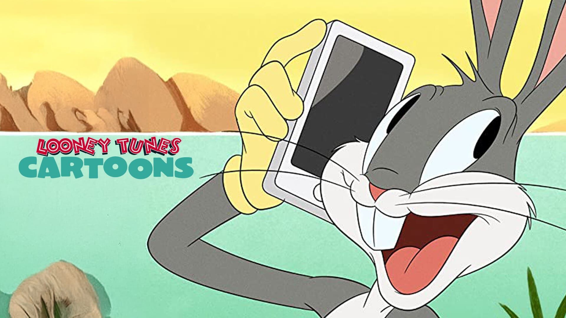 Looney Tunes Cartoons