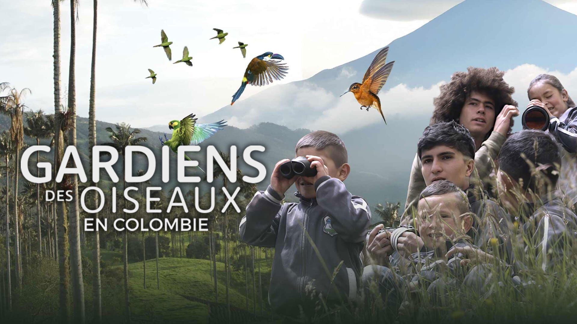 Gardiens des oiseaux en Colombie