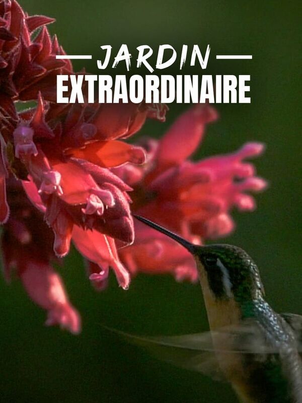 Le jardin extraordinaire