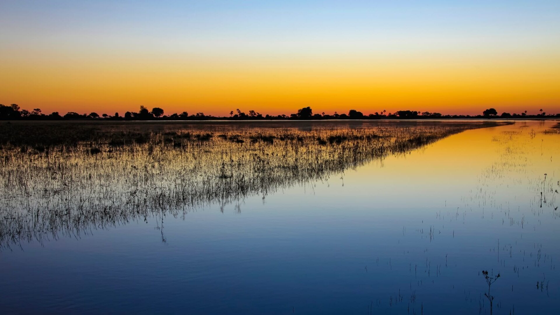 Les miracles du delta de l'Okavango