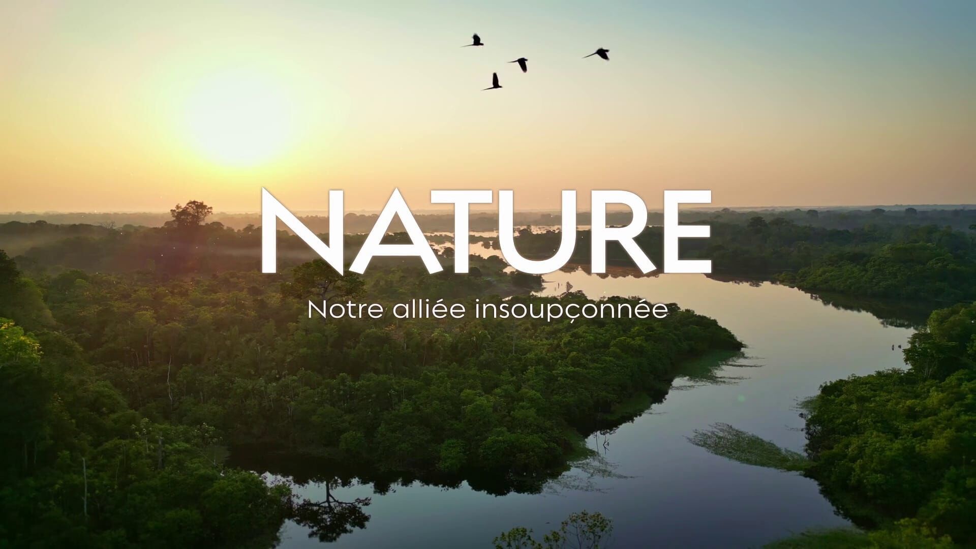 Nature, notre alliée insoupconnée