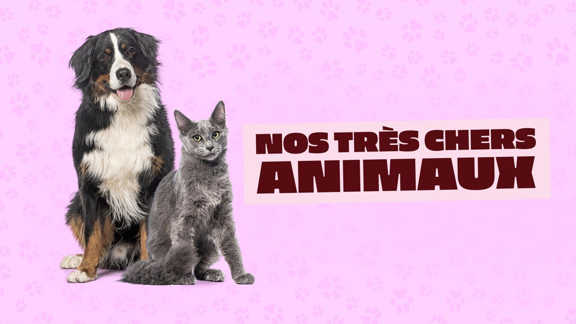 Nos très chers animaux