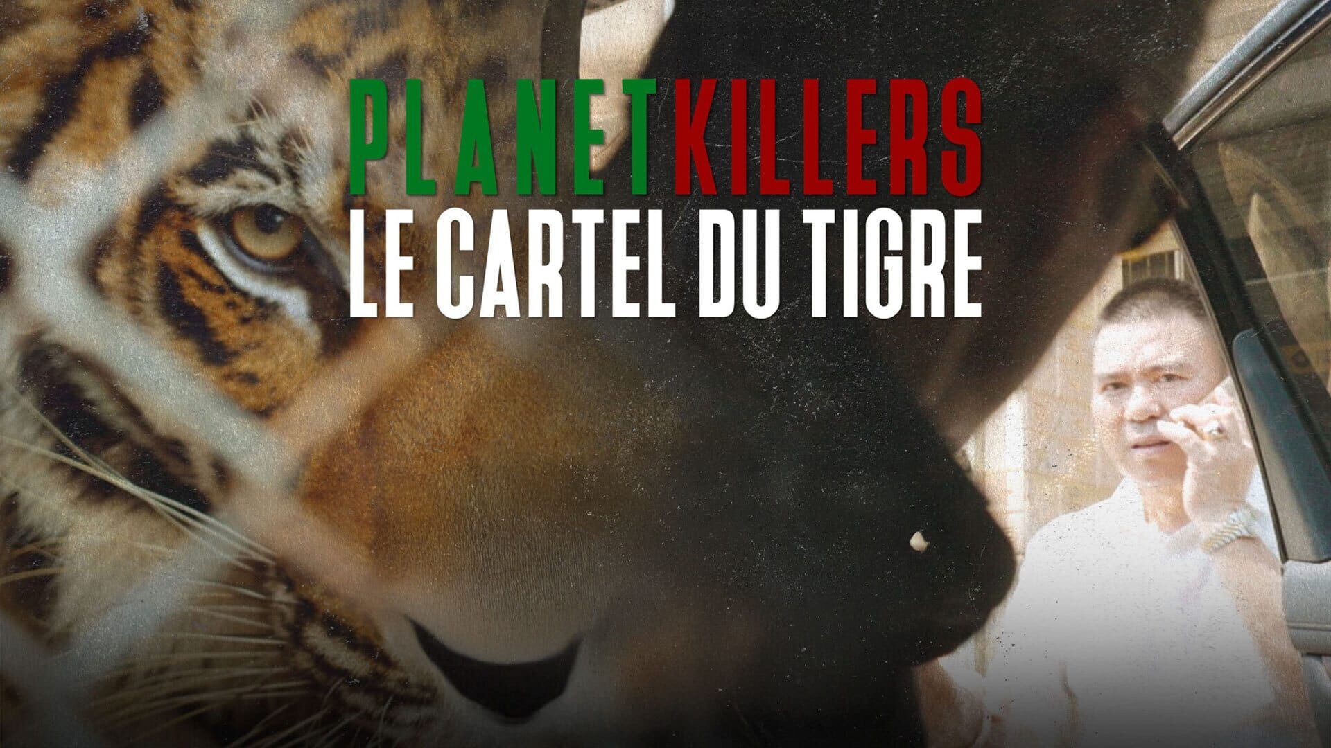 Planet Killers